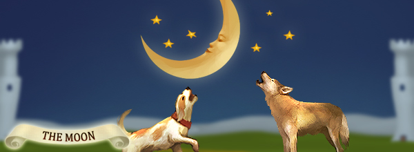 18번 달 타로카드